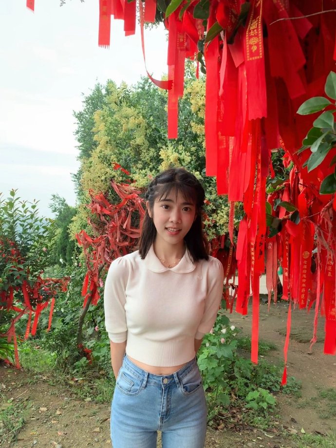 我的团长我的团 封面